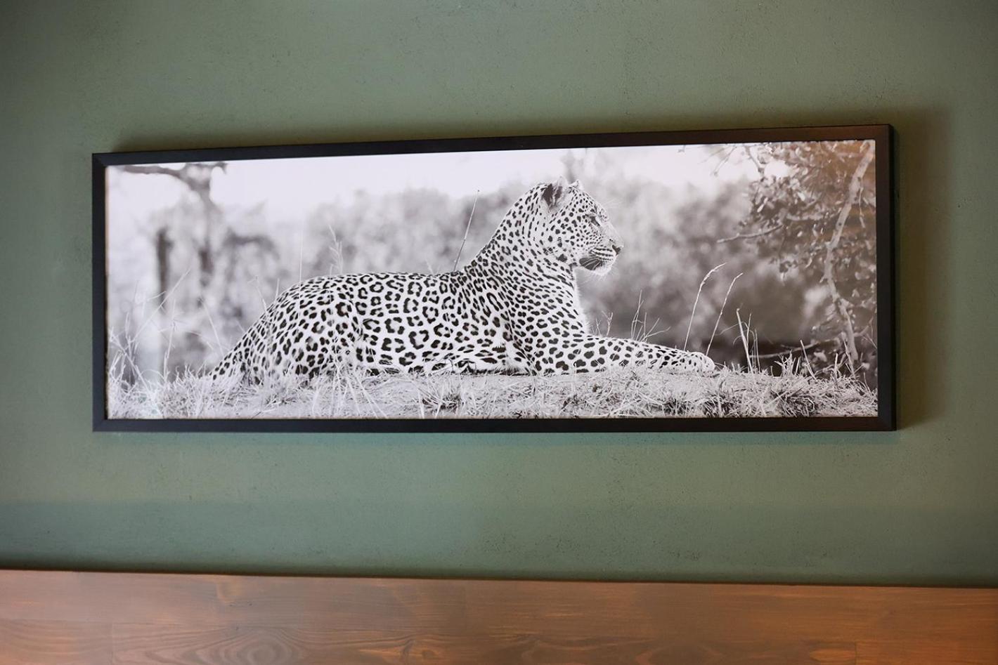 הודספרויט Tomo Safari Lodge חדר תמונה