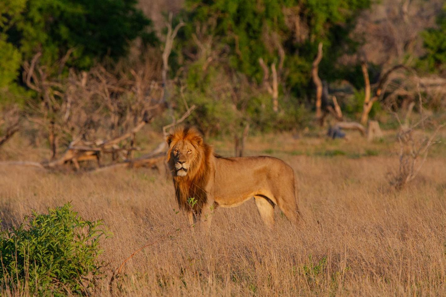 הודספרויט Tomo Safari Lodge מראה חיצוני תמונה